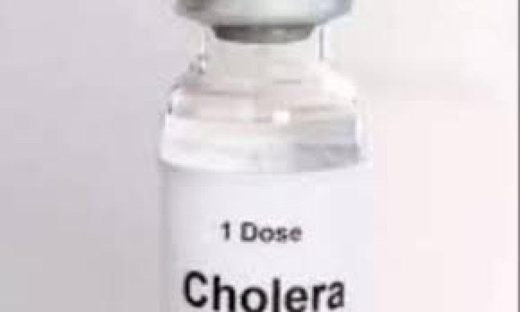 दक्षिण सूडान को हैजा से निपटने के लिए 280,000 से अधिक मिले टीके