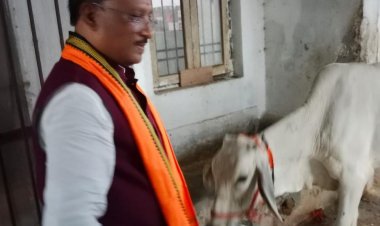 चंद्र ग्रहण से पहले गौ माता को रोटी गुड खिलाने की परंपरा मुख्यमंत्री साय ने निभाई : सीएम ने कहा गाय को गुड़ खिलाने से ग्रहण के अनिष्ट का होता है प्रभाव कम