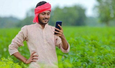 किसानों से दलहन-तिलहन उपार्जन की केन्द्र ने दी स्वीकृति,मार्कफेड सहकारी समितियों के माध्यम से करेगा उपार्जन