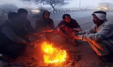 ठंड का डबल अटैक : अगले 48 घंटे में और गिरेगा पारा, शीतलहर के साथ कोहरे का रहेगा पहरा
