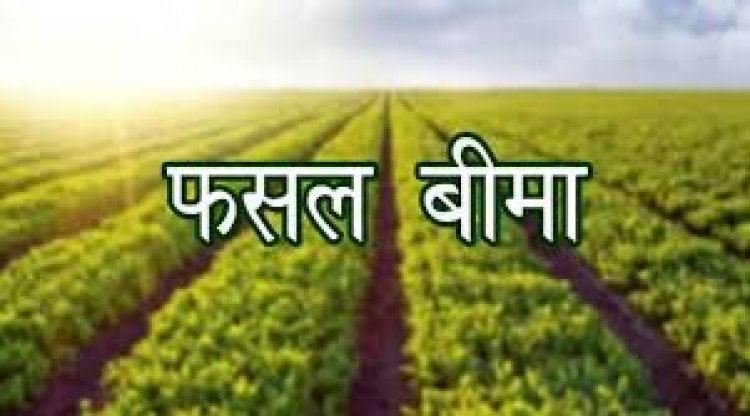 उद्यानिकी फसलों के बीमा हेतु आवेदन 31 दिसम्बर तक