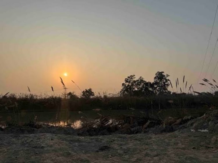 तूफान ‘दितवाह’ के कमजोर पड़ने और मौसम साफ होने के बाद प्रदेश में ठंड एक बार फिर बढ़ने लगी