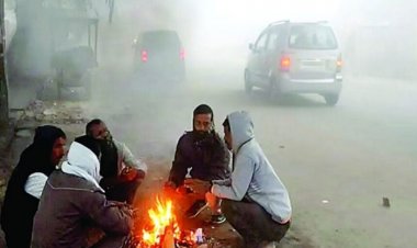 CG WEATHER : छत्तीसगढ़ में ठंड का असर कमजोर, चार दिन बाद बदलेगा मिजाज