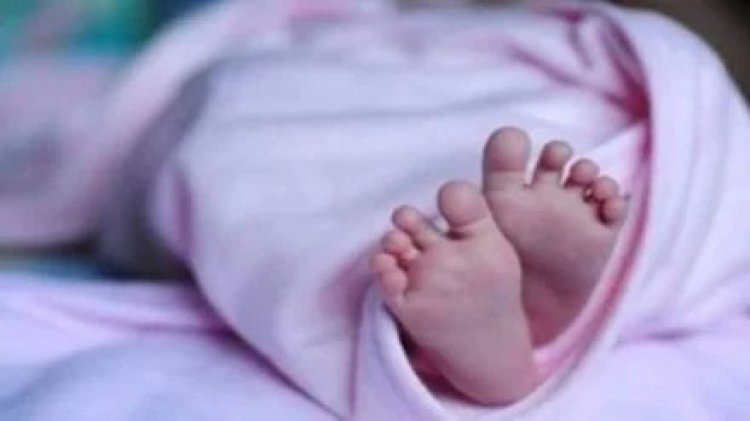 CG – हॉस्पिटल के टॉयलेट में नवजात को जन्म देकर छोड़ा, क्षेत्र में मचा हड़कंप……