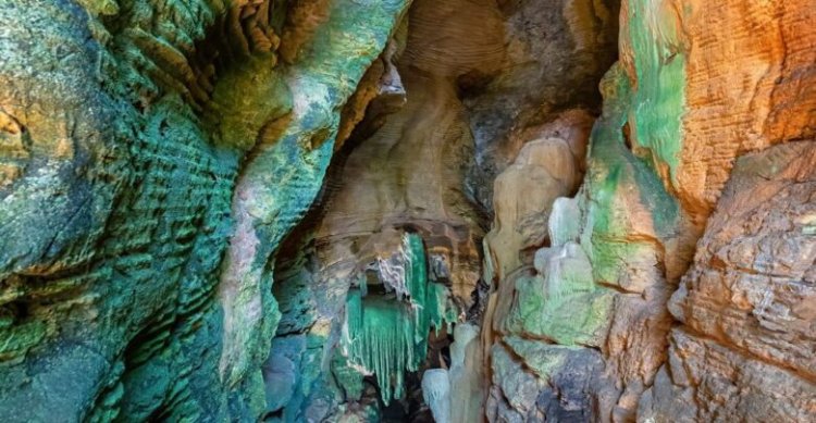 कांगेर घाटी में मिला अनोखा ग्रीन गुफा,जल्द ही पर्यटन में किया जाएगा शामिल