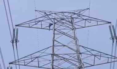 धान बिक्री न होने से परेशान किसान हाईटेंशन टावर पर चढ़ा: 120 फीट ऊंचाई पर 3 घंटे बैठा रहा, पुलिस ने उतारकर किया गिरफ्तार
