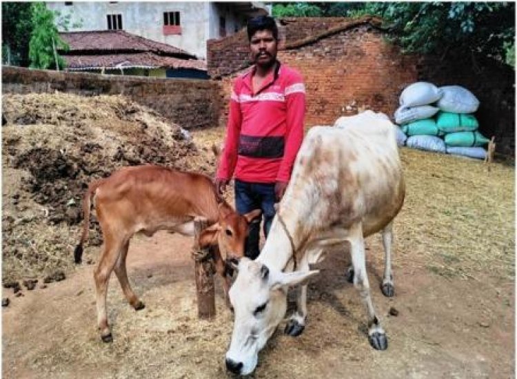 राज्य पोषित डेयरी उद्यमिता विकास योजना से सुखसागर आर्थिक रूप से हुआ मजबूत
