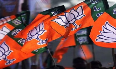 Big Breaking : राज्यसभा चुनाव के लिए BJP की लिस्ट आउट: छत्तीसगढ़ से इन्हें बनाया उम्मीदवार…