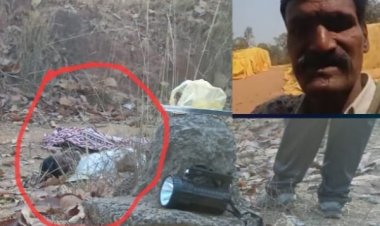 कोरबा में जंगली हाथी का हमला, मंडी प्रभारी की कुचलकर मौत