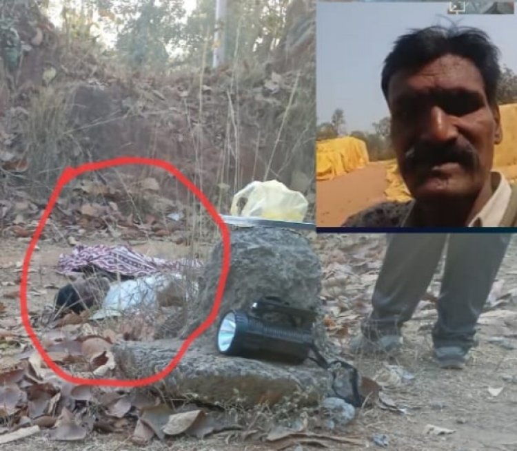 कोरबा में जंगली हाथी का हमला, मंडी प्रभारी की कुचलकर मौत