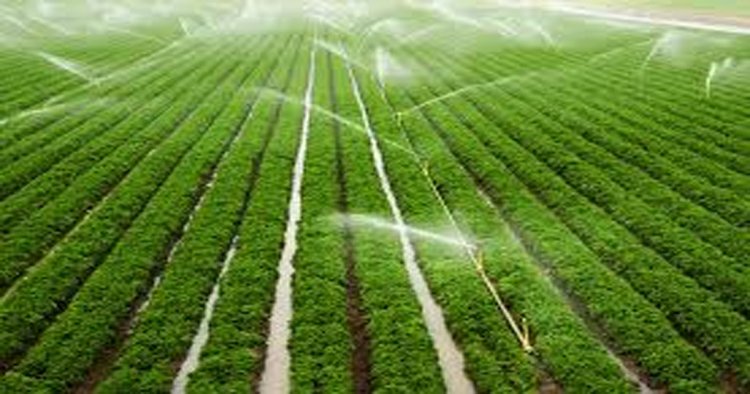 दो सिंचाई योजनाओं के कार्यों के लिए 6.58 करोड़ रूपए स्वीकृत