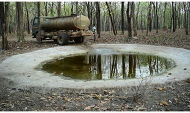 भीषण गर्मी में वन्यजीवों के लिए संजीवनी बना बारनवापारा, जल प्रबंधन का ऐसा मॉडल जो पूरे देश के लिए बना मिसाल