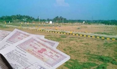 रायपुर-बिलासपुर समेत पूरे प्रदेश में नया कानून लागू, जमीन विवाद हुआ तो सीधे कलेक्टर करेंगे फैसला