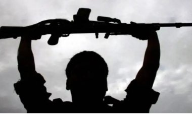 CG NAXAL SURRENDER : माओवादी नेटवर्क को बड़ा झटका, नरहरि का सरेंडर..