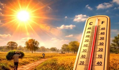 CG WEATHER : उमस और तेज धूप से बढ़ी परेशानी, छत्तीसगढ़ में अगले 72 घंटे रहेंगे बेहद गर्म