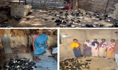 नियद नेल्लानार योजना: कच्चापाल जलप्रपात के पास 'इन्द्रावती समूह' की महिलाएँ मुर्गी पालन से लिख रहीं आत्मनिर्भरता की नई इबारत…