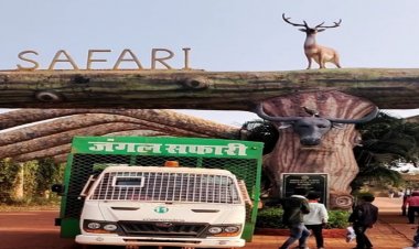 ब्रेकिंग : नंदनवन और जंगल सफारी इतने दिन के लिए हुए बंद, इस वजह से लिया गया फैसला…!!