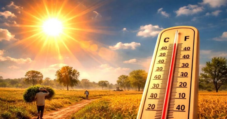 CG WEATHER : उमस और तेज धूप से बढ़ी परेशानी, छत्तीसगढ़ में अगले 72 घंटे रहेंगे बेहद गर्म