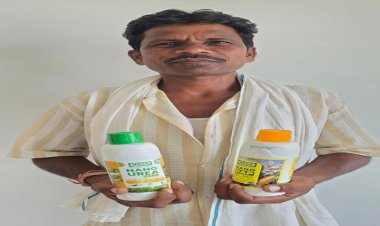 नैनो उर्वरकों से बढ़ रहा उत्पादन, मिट्टी संरक्षण को भी मिल रही मजबूती