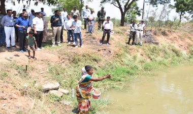 ​मनरेगा और जल निधि का महासंगम: छत्तीसगढ़ के धमतरी में 'आजीविका डबरी' से बदल रही ग्रामीण इकॉनमी की तस्वीर