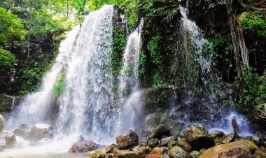 जहां प्रकृति लिखती है अपनी सबसे खूबसूरत कहानी,पर्यटन के राष्ट्रीय मानचित्र पर उभरता नया स्वर्ग :  झरने, पहाड़, गुफाएं, प्राकृतिक शिवलिंग, चाय बागान और आदिवासी संस्कृति का अद्भुत संगम बना जशपुर,सुकून और रोमांच की तलाश में देशभर से पहुंच रहे पर्यटक