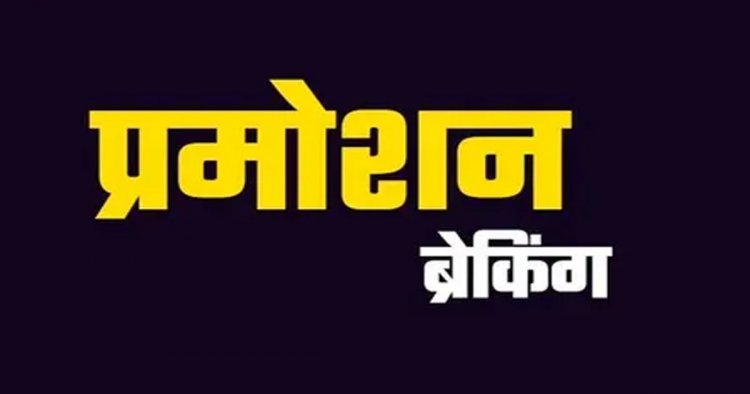 ब्रेकिंग : राज्य सरकार ने जारी किया आदेश, 12 तहसीलदार बने डिप्टी कलेक्टर, देखें आदेश..!!