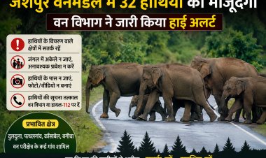 जशपुर वनमंडल में 32 हाथियों की मौजूदगी,वन विभाग ने जारी किया हाई अलर्ट : ग्रामीणों से सतर्क रहने और जंगलों में अनावश्यक प्रवेश नहीं करने की अपील, प्रभावित क्षेत्रों में लगातार निगरानी
