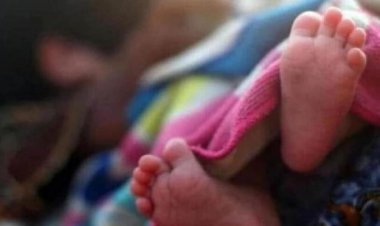 CG -जुड़वा बच्चे होने की बाद अचानक मातम में बदलीं खुशियां, परिजनों ने डॉक्टर पर लगाए ये गंभीर आरोप….