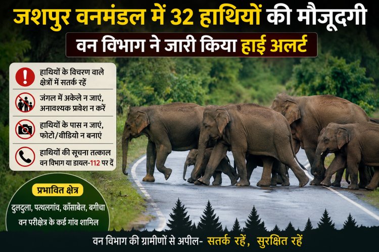 जशपुर वनमंडल में 32 हाथियों की मौजूदगी,वन विभाग ने जारी किया हाई अलर्ट : ग्रामीणों से सतर्क रहने और जंगलों में अनावश्यक प्रवेश नहीं करने की अपील, प्रभावित क्षेत्रों में लगातार निगरानी