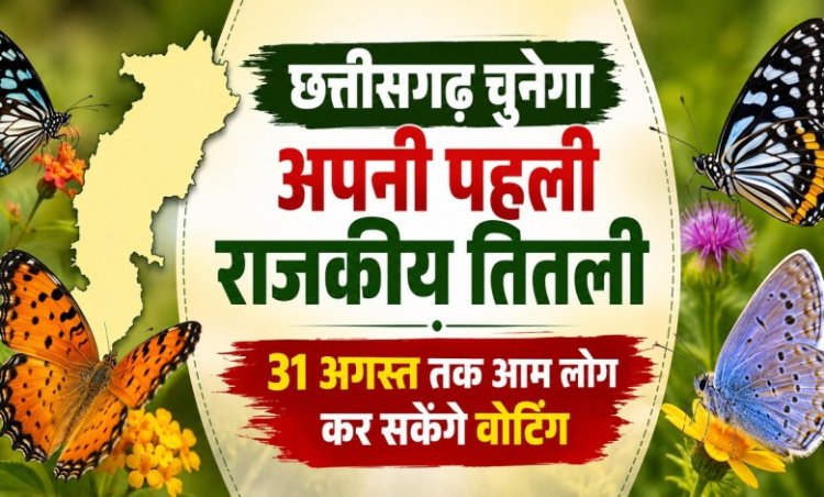 CG State Butterfly: छत्तीसगढ़ चुनेगा अपनी पहली राजकीय तितली, 31 अगस्त तक आम लोग कर सकेंगे वोटिंग